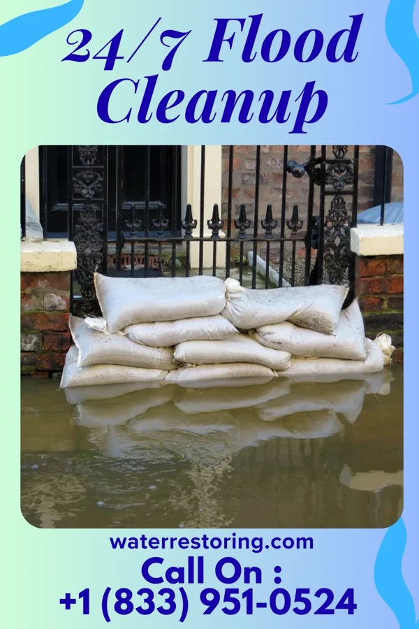 24/7 Flood Cleanup in Dutch Island, GA