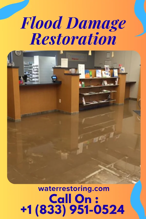 Flood Damage Restoration in Dutch Island, GA