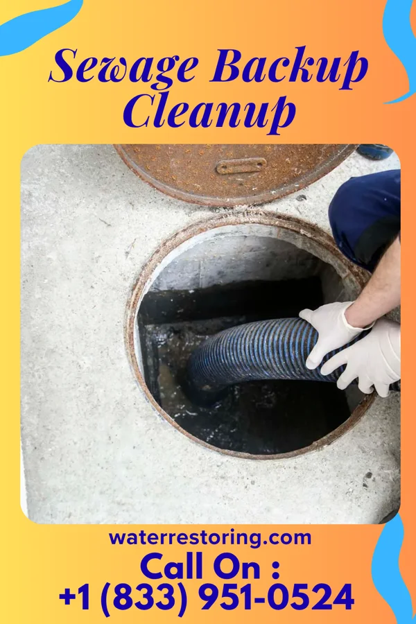 Sewage Backup Cleanup in Dutch Island, GA
